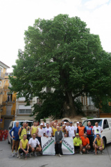 macrofondo-09 3541703479 o
