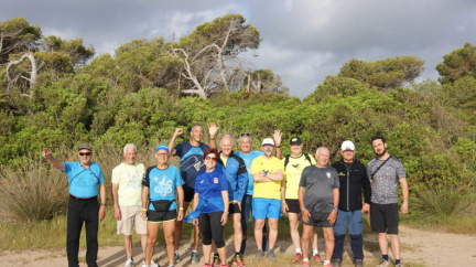 Grupo (6)
