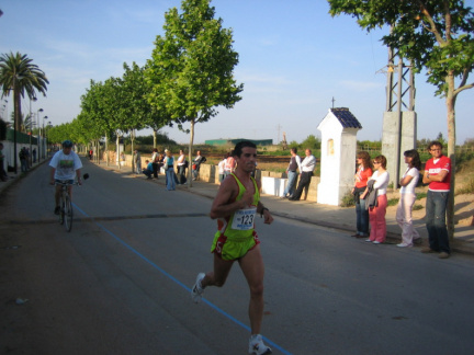 ALCACER 2006 244