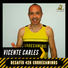 Vicente Carles