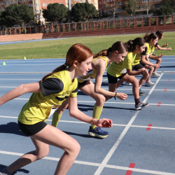 [2025] Campeonatos Sociales